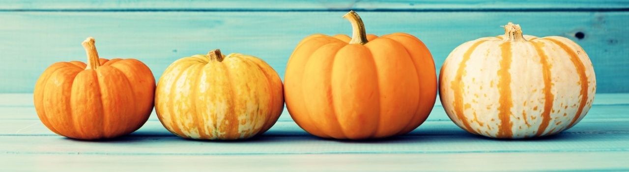 тиквата блог inamood bg